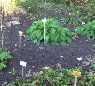 Botanischer Garten