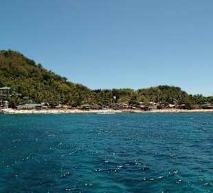 Strand von Apo Island (Ausflug)