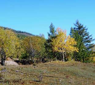 Gorkhi Terelj Nationalpark