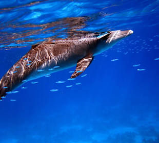 Bilder vom 13.10.16 von mir geschossen