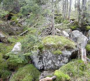 Karkonoski Park Narodowy