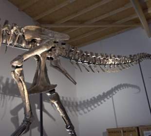 Dinosaurier Museum Altmühltal