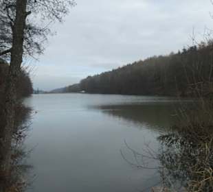 Nov. 2021: Am Vorsee (vor dem Ellertshäuser See)