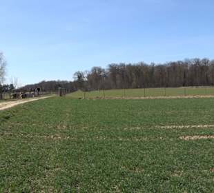Premiumwanderweg "hochgeblickt"