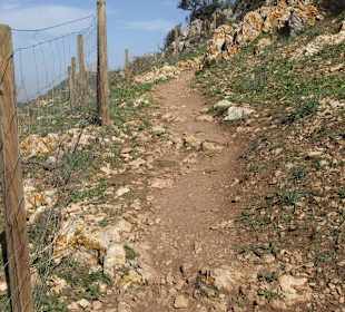 Da ist festes Schuhwerk gefragt
