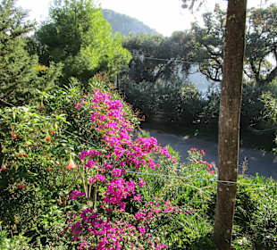  Kloster Paleokastritsa