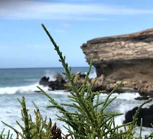 Strand La Pared