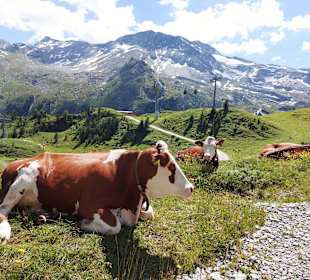 Hintertuxer Gletscher