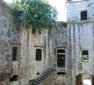 Mamula, Andrea, Velo, Anni 2011