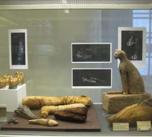 Ausstellung "Tiergötter"