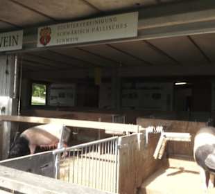 Hohenloher Freilandmuseum