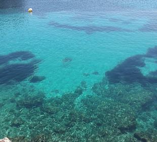 Cala Agulla/ Cala Guya