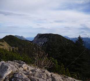 RauschbergImpressionen