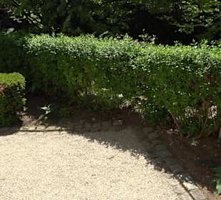 Rosengarten Nördlingen