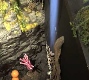 Naturparkzentrum Ruhestein