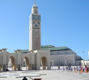 Passt auf kein Bild...