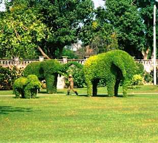 Parkanlage des Sommerpalastes