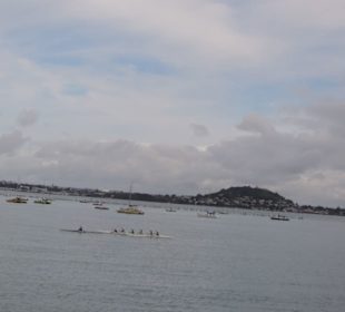 Mit dem Hop on Hop off Bus in Auckland unterwegs