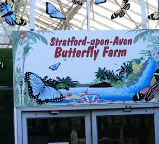 Wejscie na farmę motyli