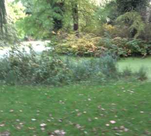 Englischer Garten