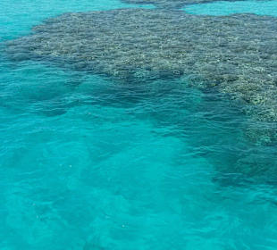 Privater Schnorchelausflug