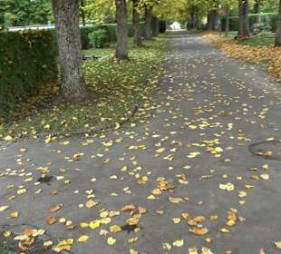 Hauptfriedhof Friedrichshafen