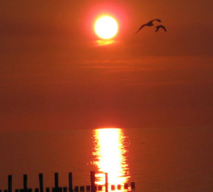 Ein toller Sonnenuntergang