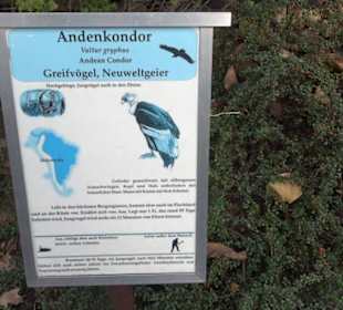 Zoologischer Garten