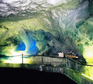 Gletscher von innen