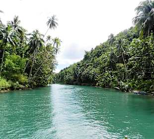 Loboc River Bohol