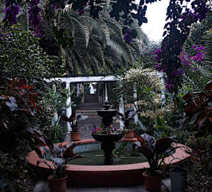 Orchideengarten Sitio Litre