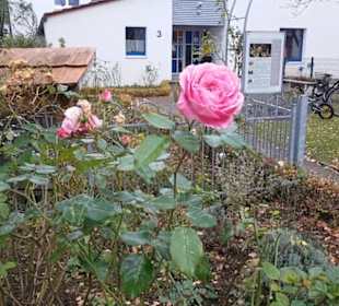 Martin-Luther-Kirche