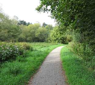 Impressionen vom Rundweg um den Weichelsee