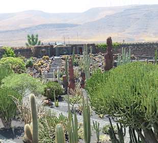 Blick über die Anlage