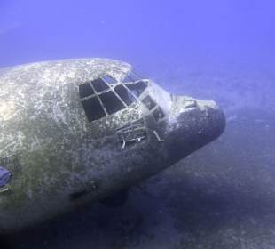 Tauchbasis Sinai Divers Aqaba
