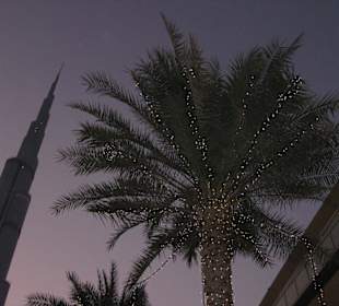 Palmen am Abend vor der Mall