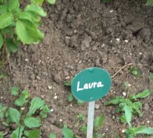 ALB-GOLD Naturgarten