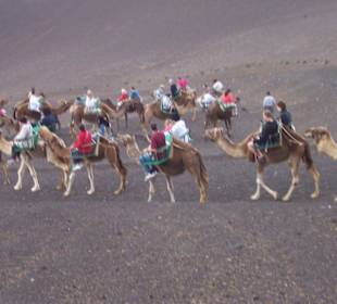 Die Karawane zieht weiter