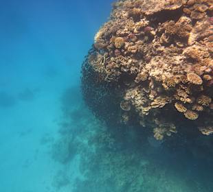 Schnorcheln Sahl Hasheesh 