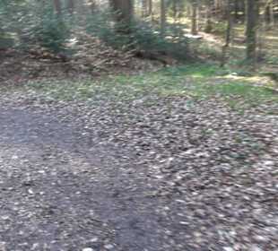 Wanderung Florianrunde