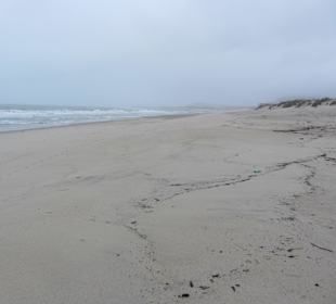 Breiter, langer Strand
