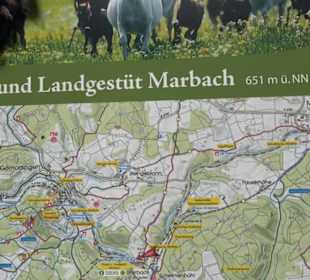 Haupt- und Landgestüt Marbach