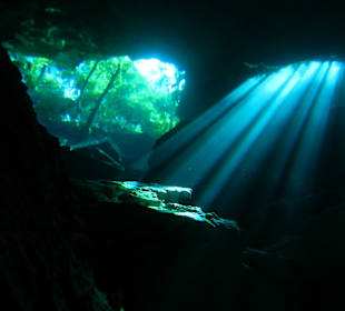 Cenote Unterwasserbild