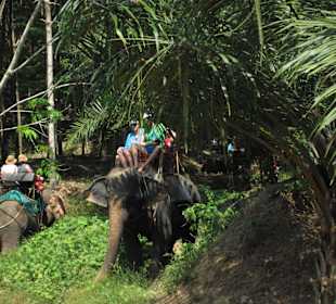 Elefantenritt