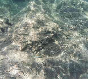 Unterwasser 5