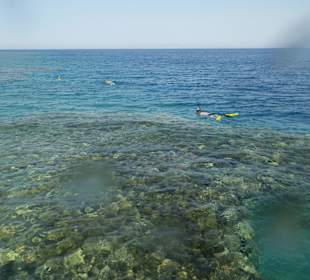 Schnorcheln Dahab