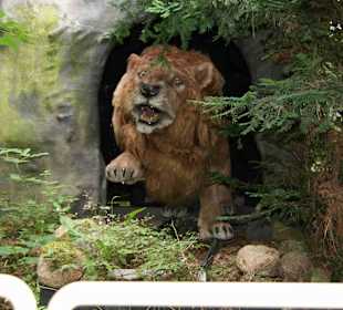 Serengeti Park Hodenhagen