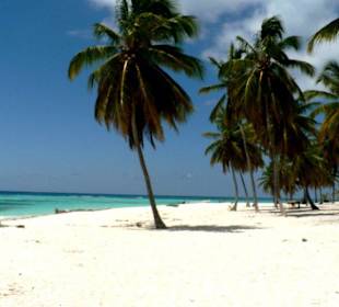 Robinson fühlte sich nicht anders...