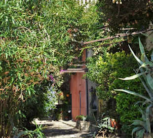 Impressionen aus der Altstadt von Collioure