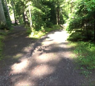 Waldfriedhof Altensteig